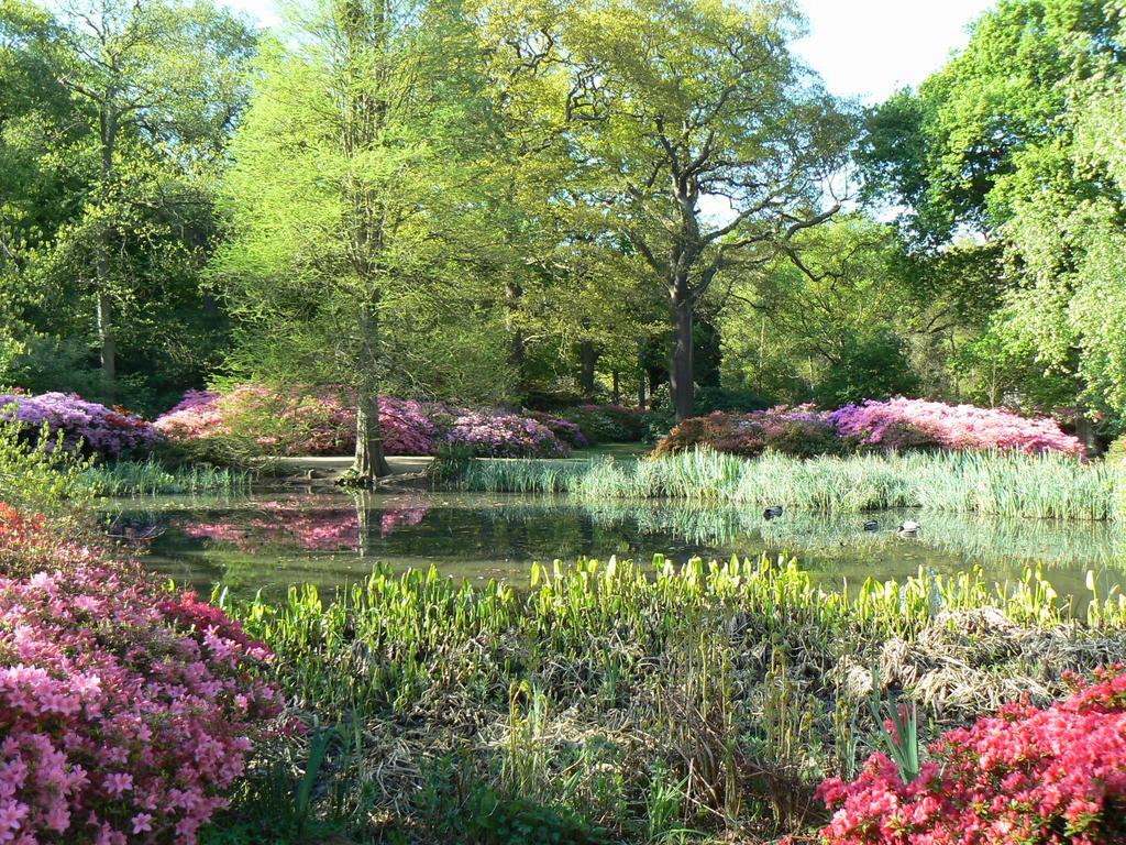 Londonhomegardens 외부 사진